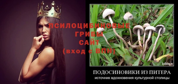 прущий лед Бутурлиновка